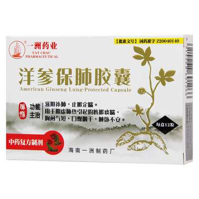 探索西洋參 產品圖庫與全面解析